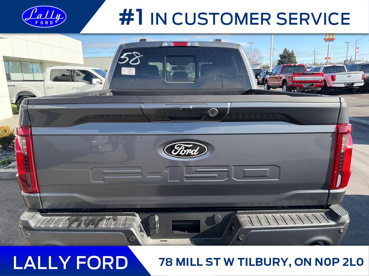 2025 Ford F-150 XLT Photo