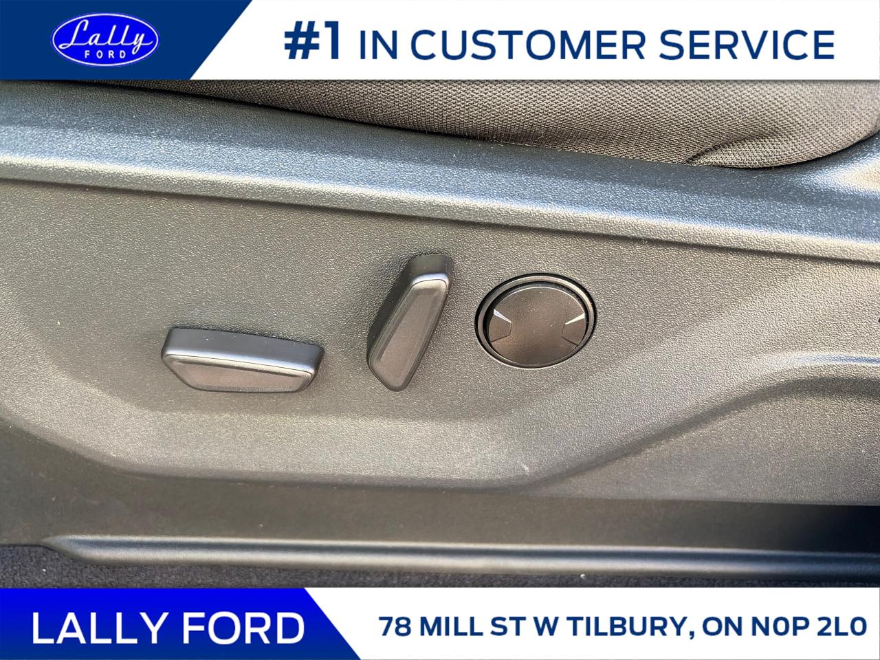 2025 Ford F-150 XLT Photo