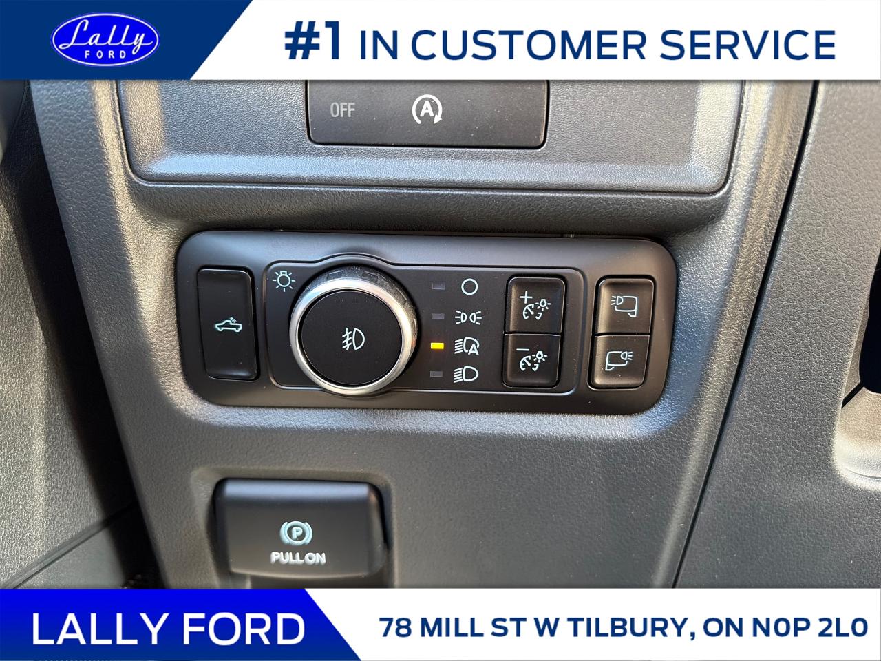 2025 Ford F-150 XLT Photo