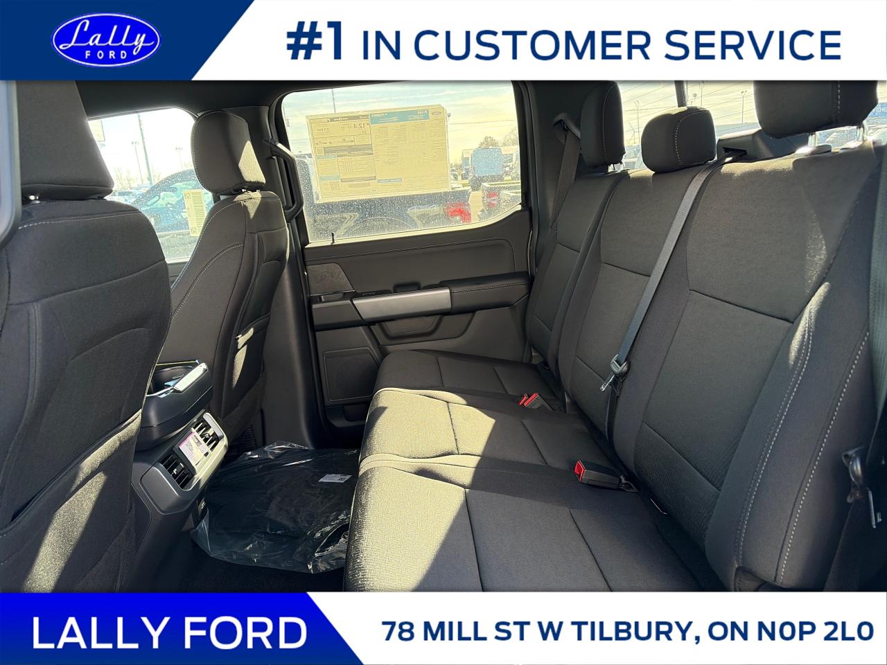 2025 Ford F-150 XLT Photo