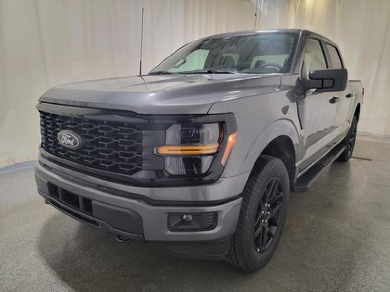 New 2025 Ford F-150 STX W/ BLACK APPEARANCE PACKAGE for sale in Regina, SK