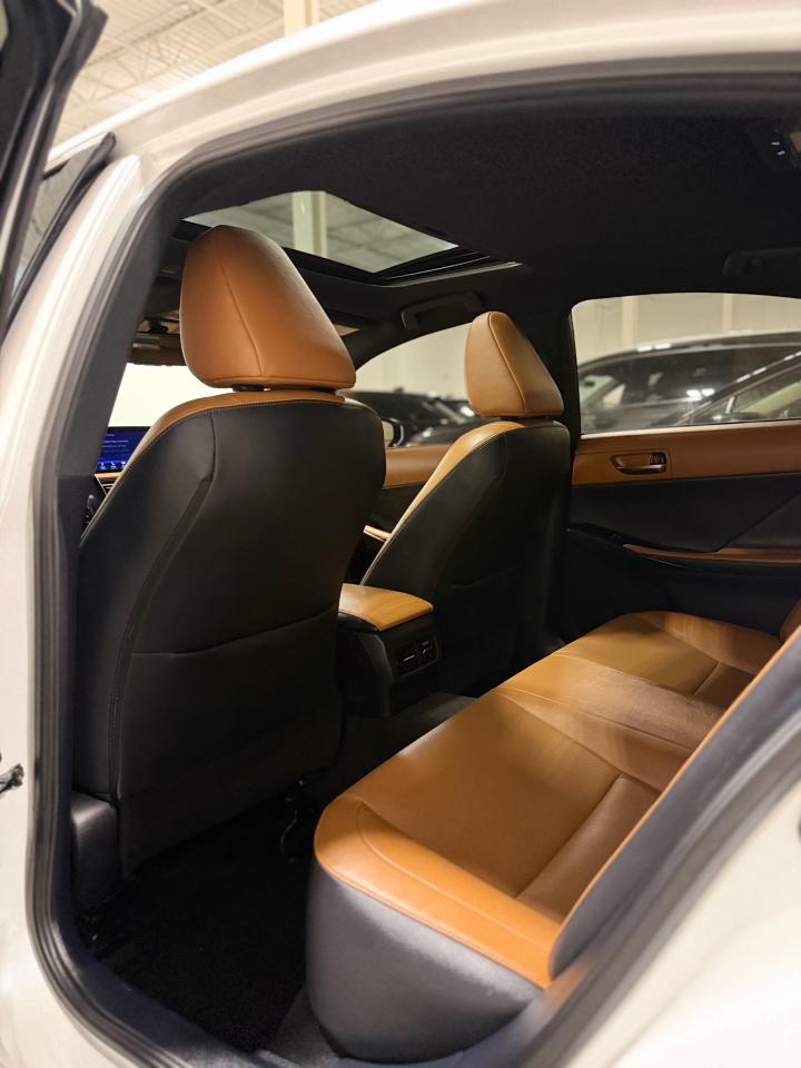 2022 Lexus IS IS 300 Photo