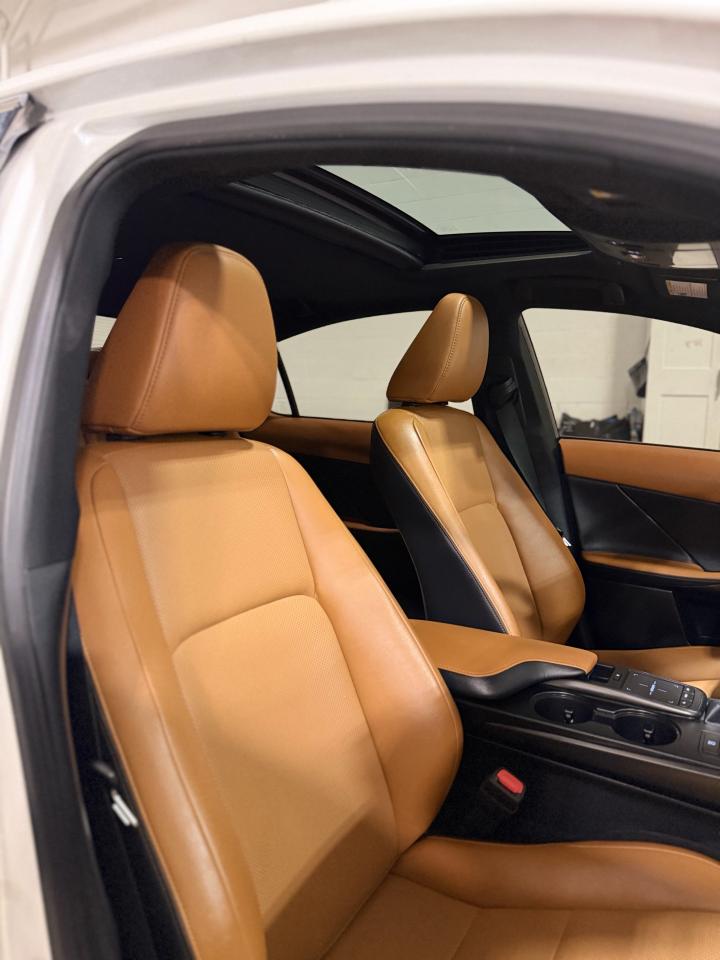 2022 Lexus IS IS 300 Photo