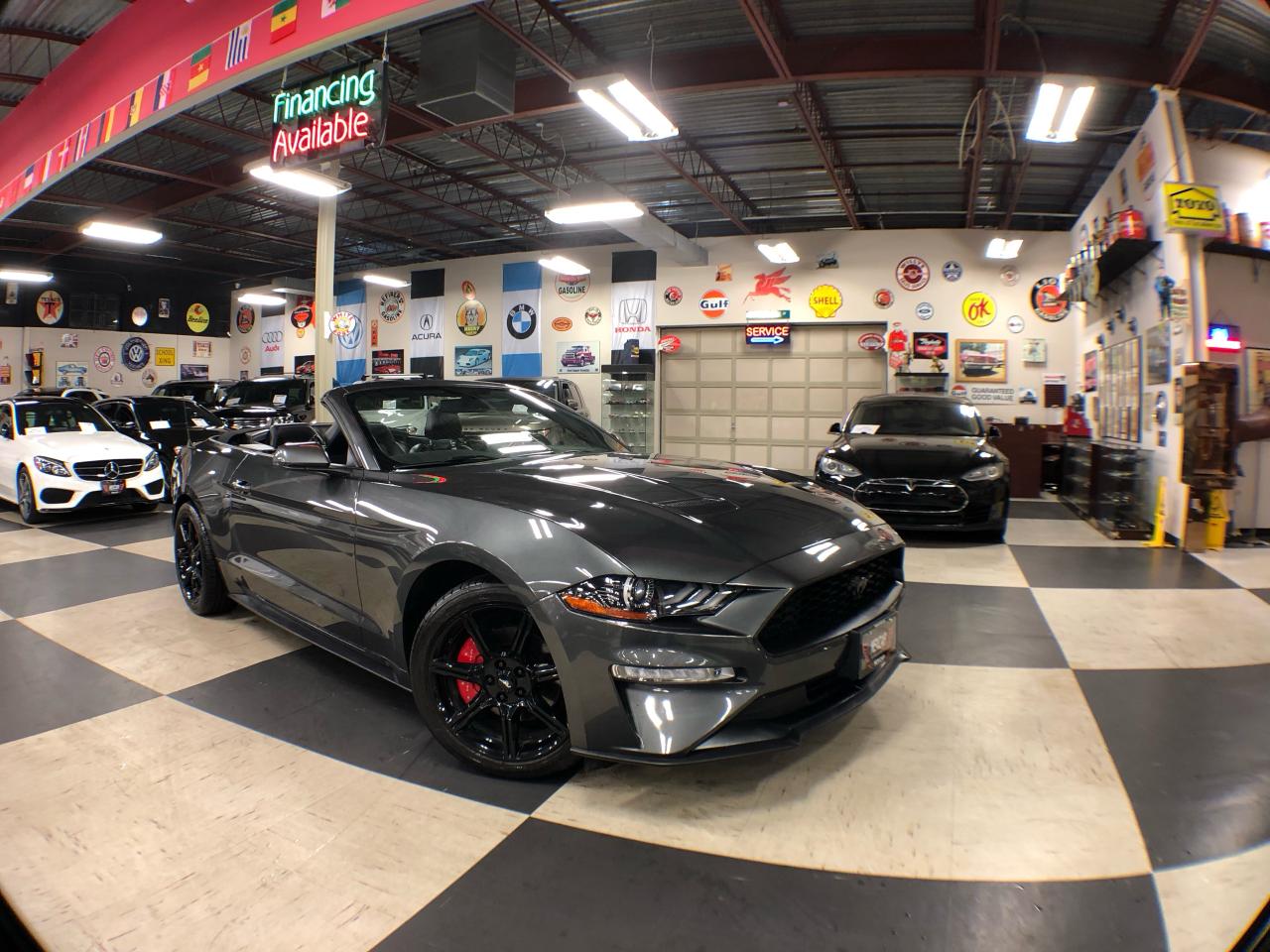 2019 Ford Mustang CABRIOLET EcoBoost PREMIUM LEATHER  REAR CAMERA