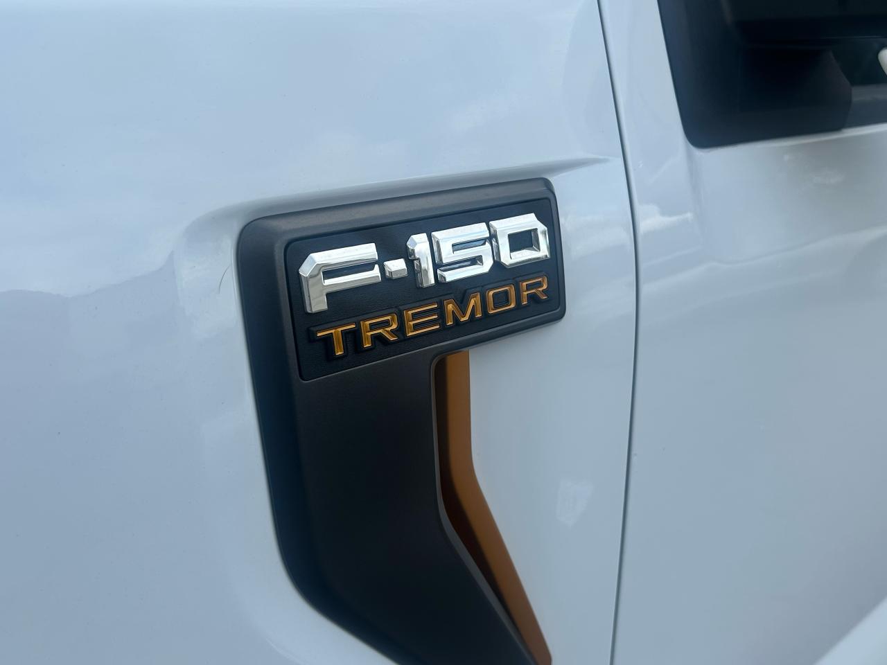 2022 Ford F-150 Tremor - Photo #16
