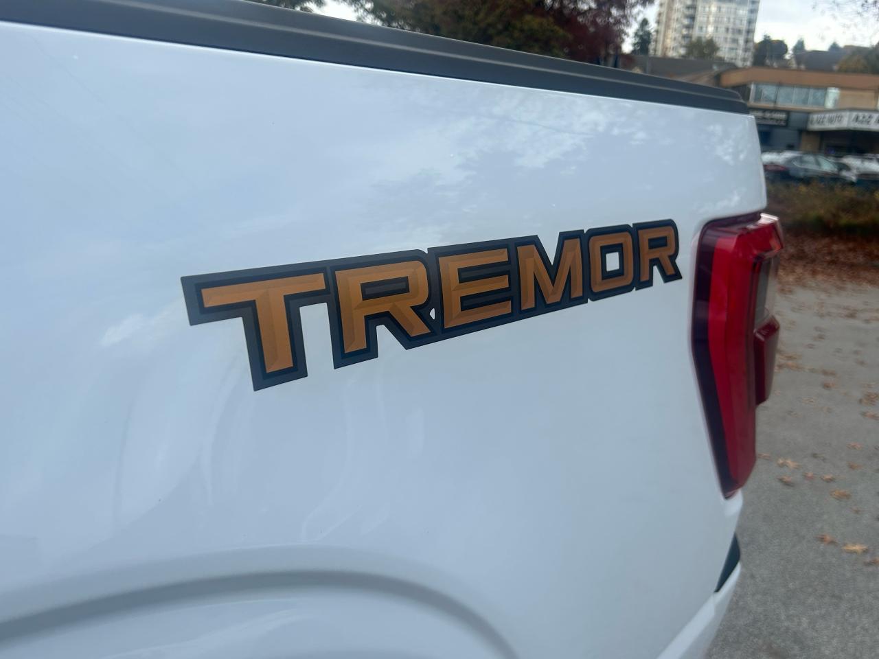 2022 Ford F-150 Tremor - Photo #17