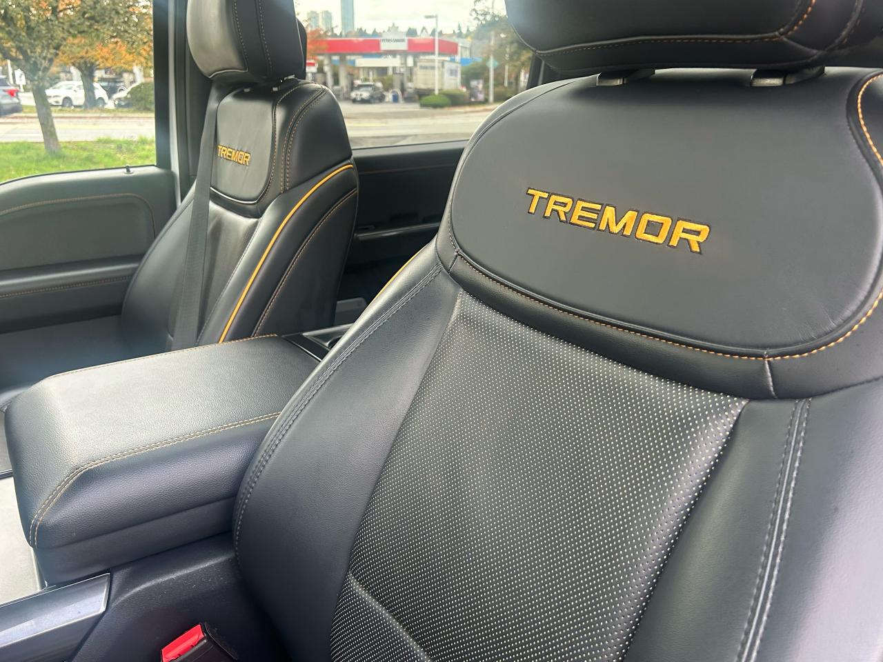 2022 Ford F-150 Tremor - Photo #10