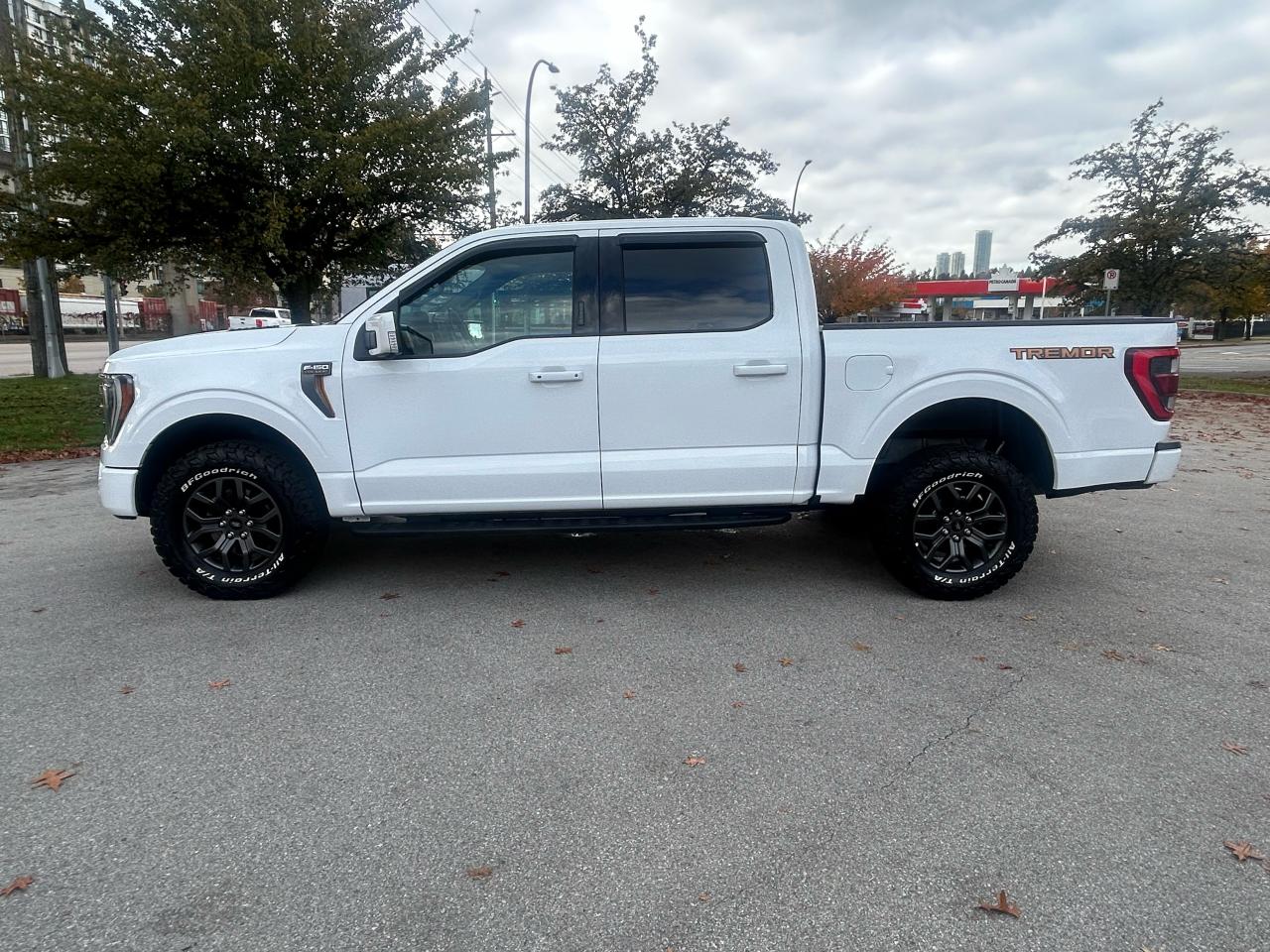 2022 Ford F-150 Tremor - Photo #2