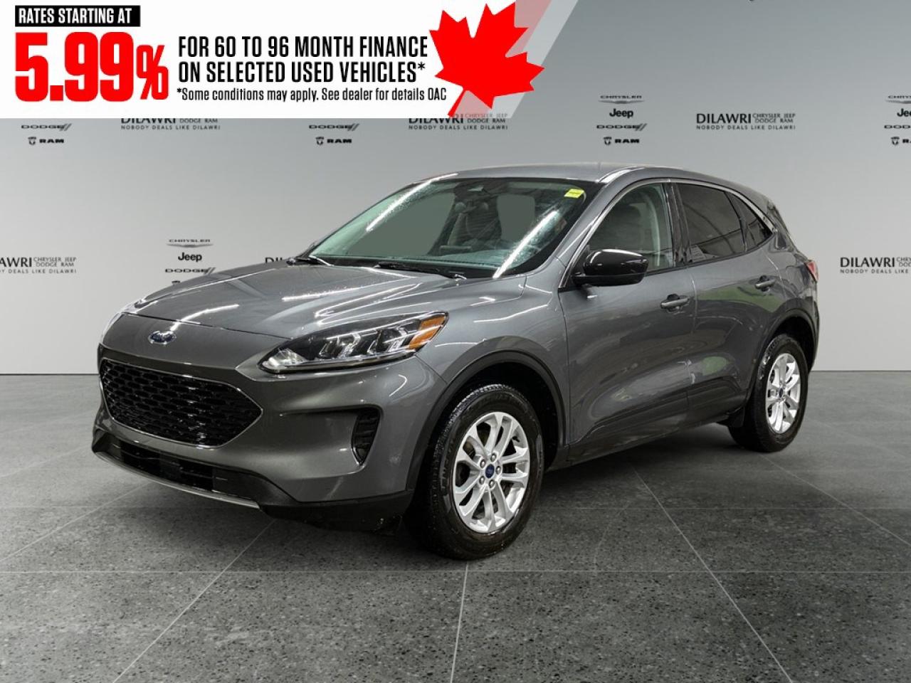 Used 2022 Ford Escape SE AWD for sale in Nepean, ON
