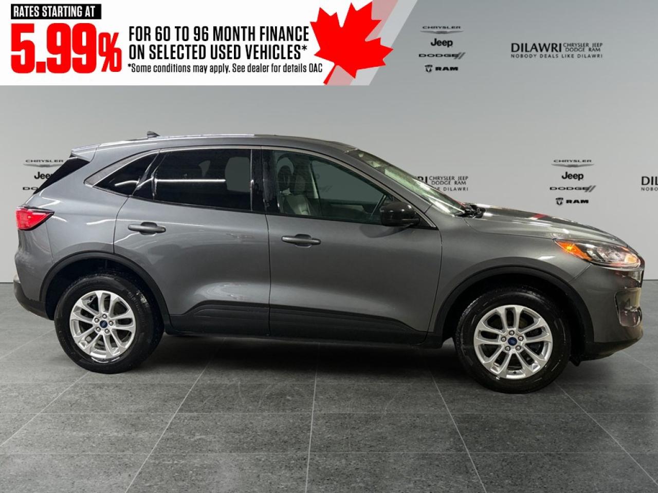 2022 Ford Escape SE AWD Photo