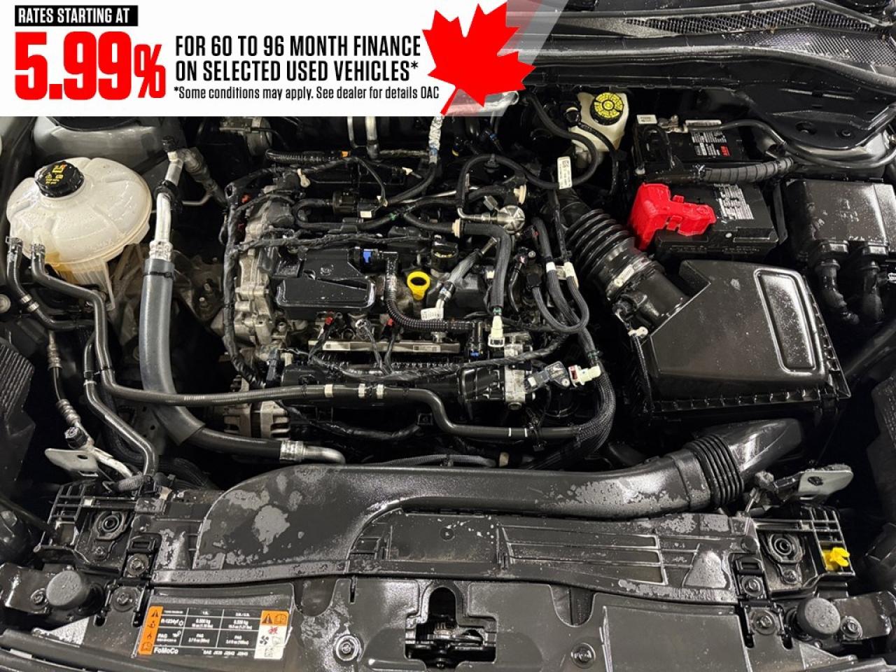 2022 Ford Escape SE AWD Photo