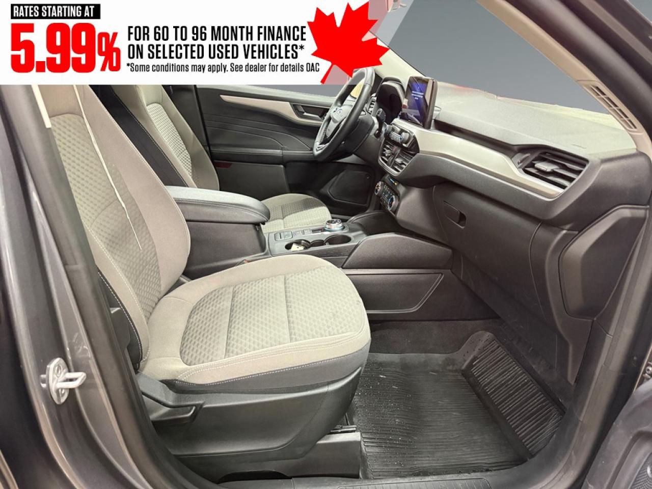 2022 Ford Escape SE AWD Photo