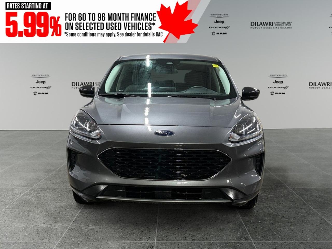 2022 Ford Escape SE AWD Photo