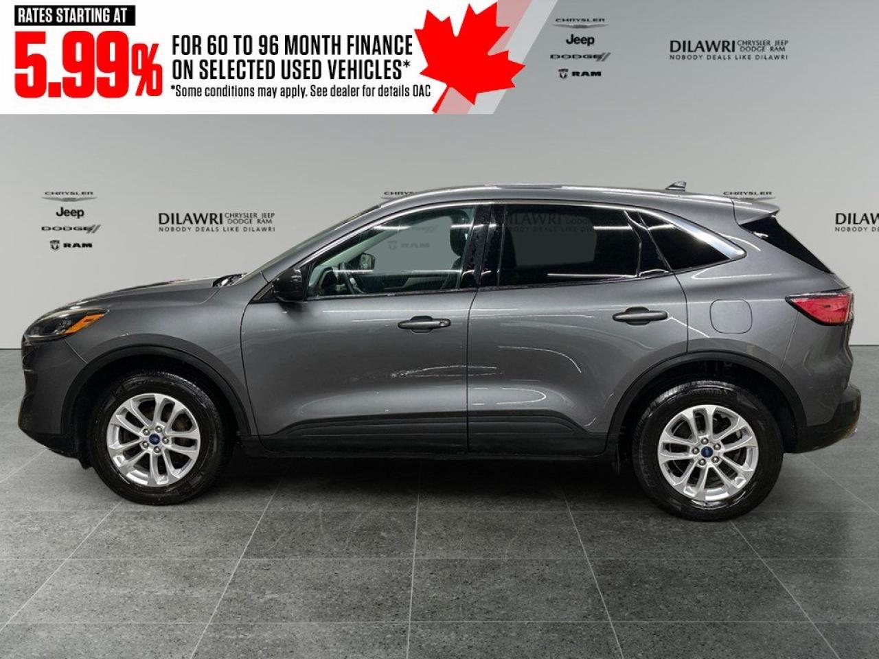 2022 Ford Escape SE AWD Photo