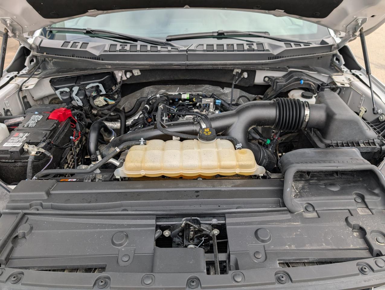 2019 Ford F-150 XLT Photo5