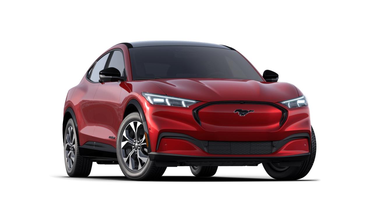 2022 Ford Mustang Mach-E Premium AWD Photo