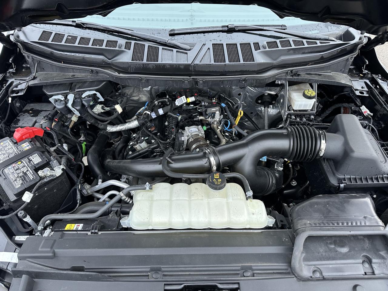 2024 Ford F-150 STX | V6 | BLACK BEAUTY | SUPER CREWCAB Photo