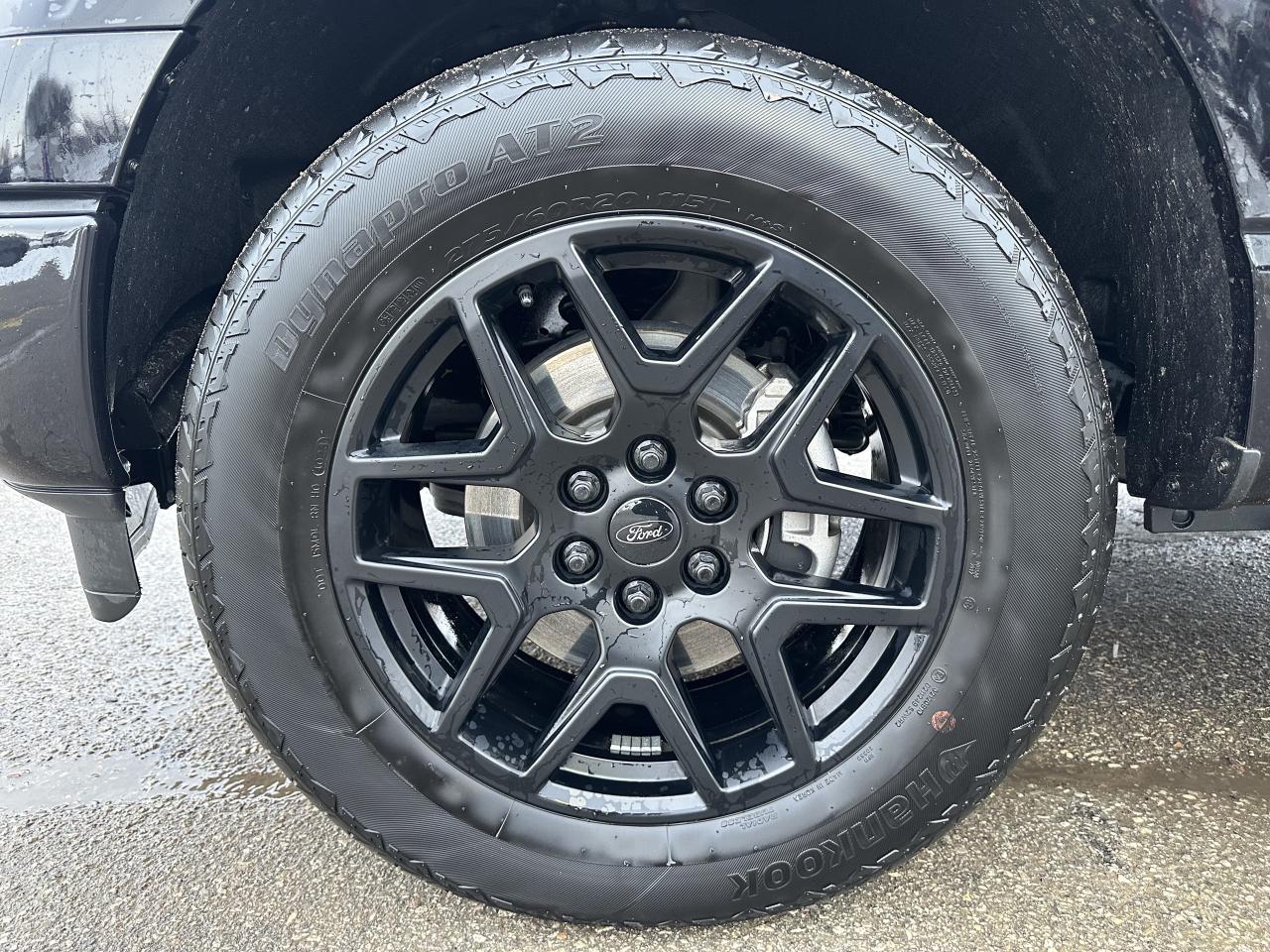 2024 Ford F-150 STX | V6 | BLACK BEAUTY | SUPER CREWCAB Photo