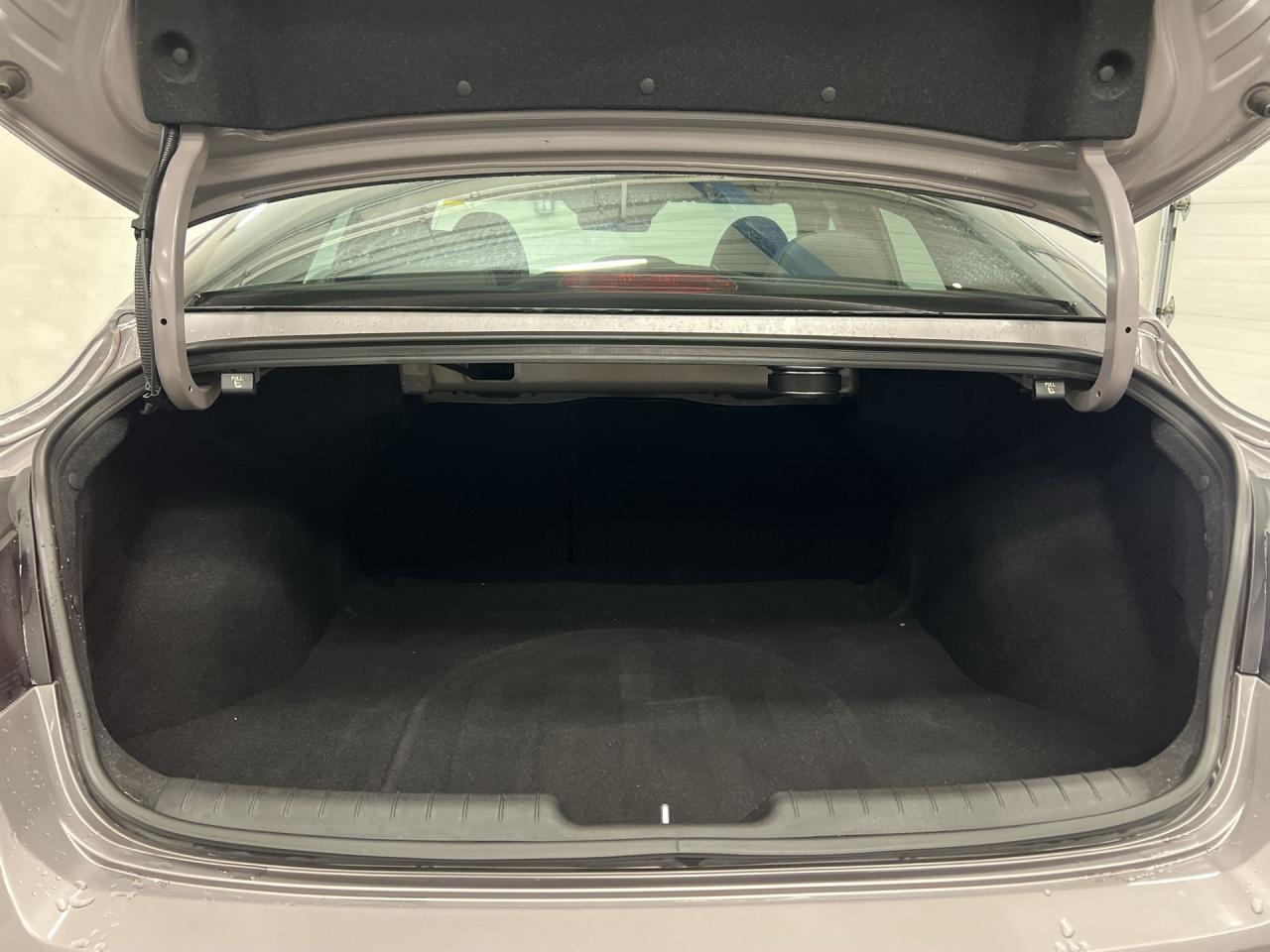 2023 Hyundai Elantra N LINE ULTIMATE | 200HP TURBO | LEATHER | SUNROOF Photo