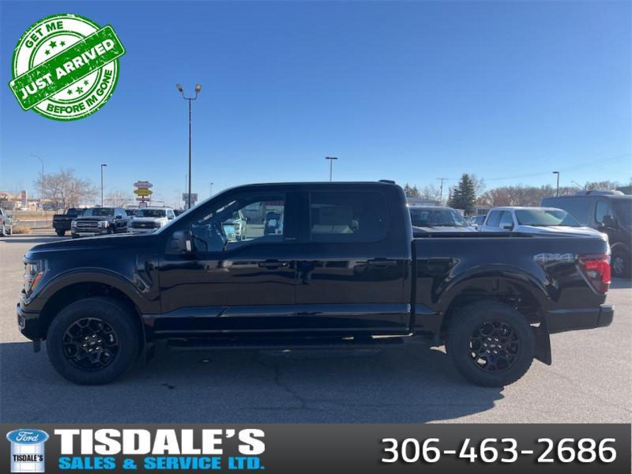 New 2025 Ford F-150 XLT for sale in Kindersley, SK