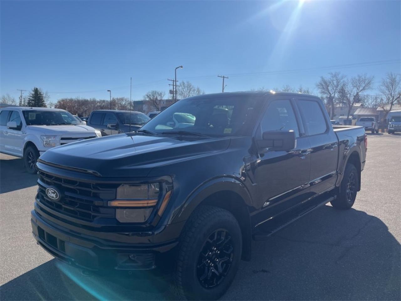 2025 Ford F-150 XLT Photo4