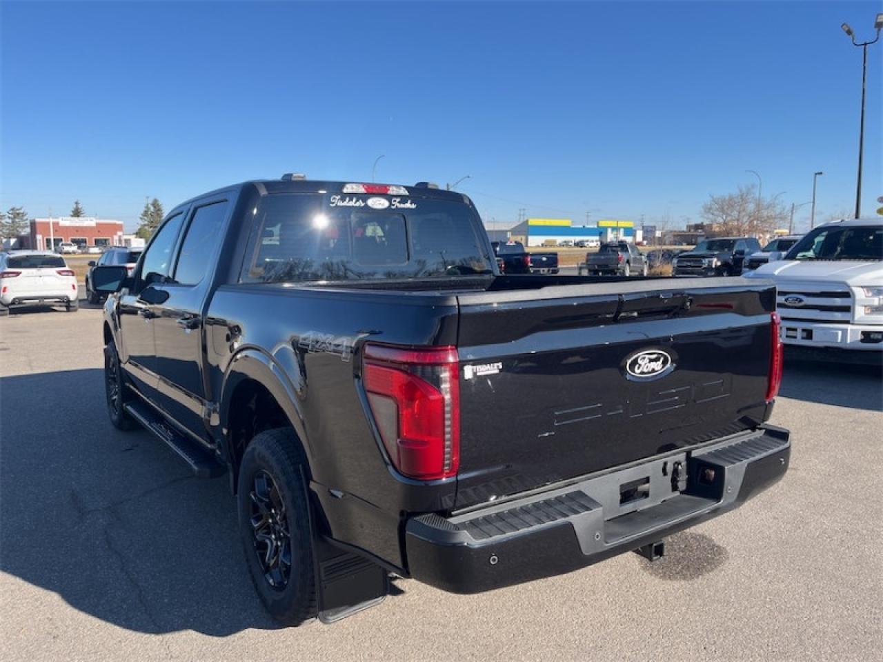 2025 Ford F-150 XLT Photo5