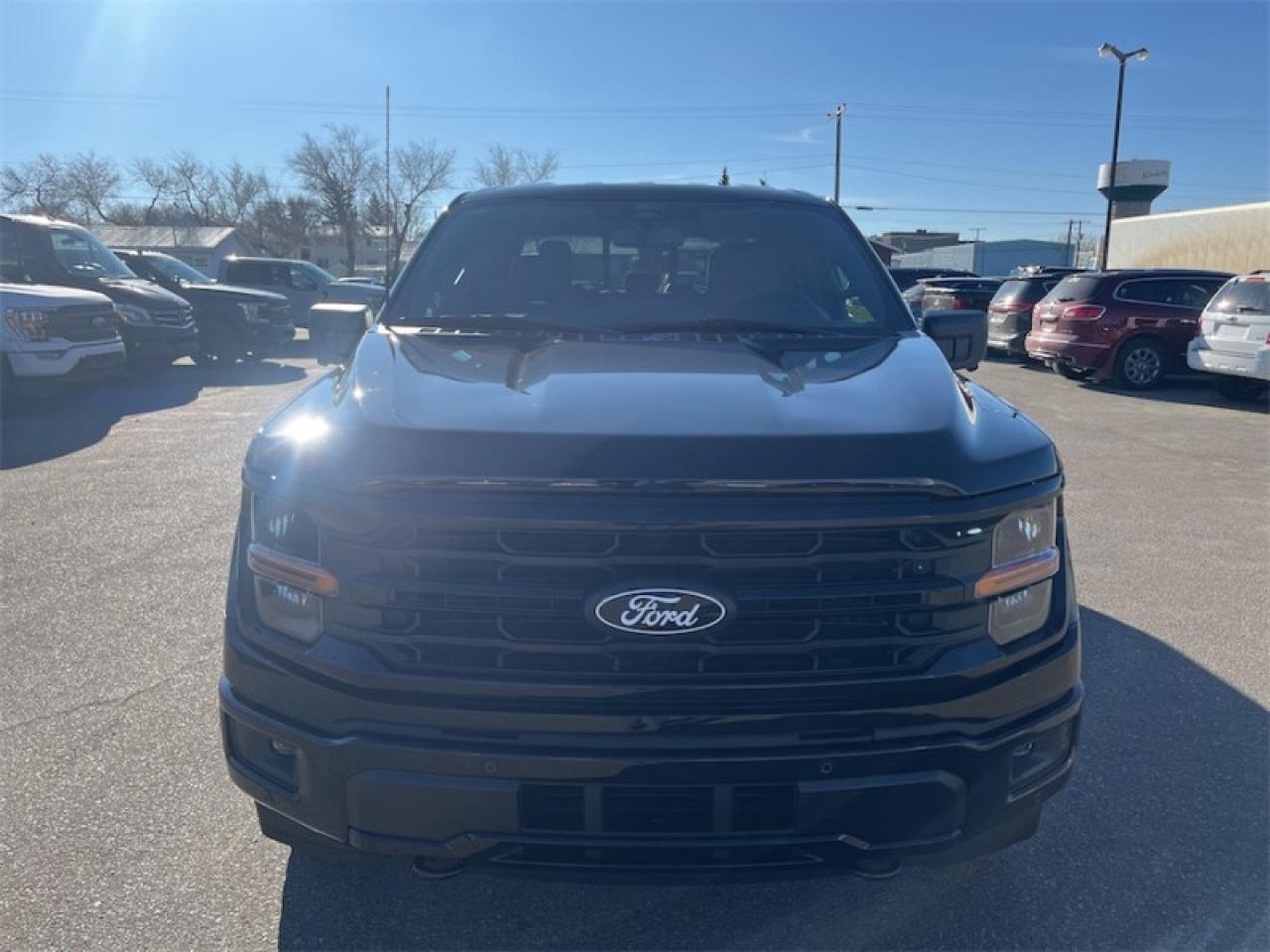 2025 Ford F-150 XLT Photo