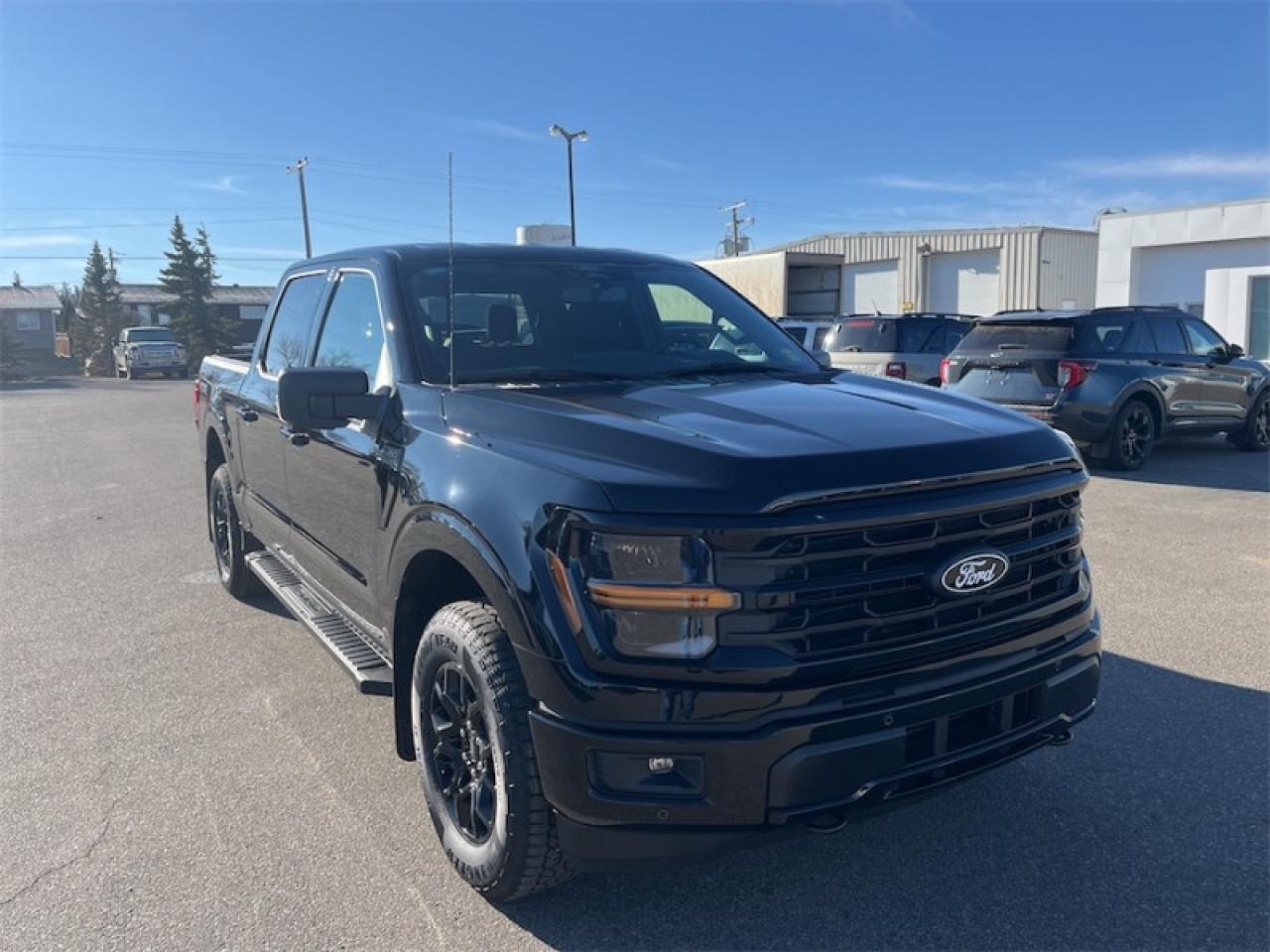 2025 Ford F-150 XLT Photo5