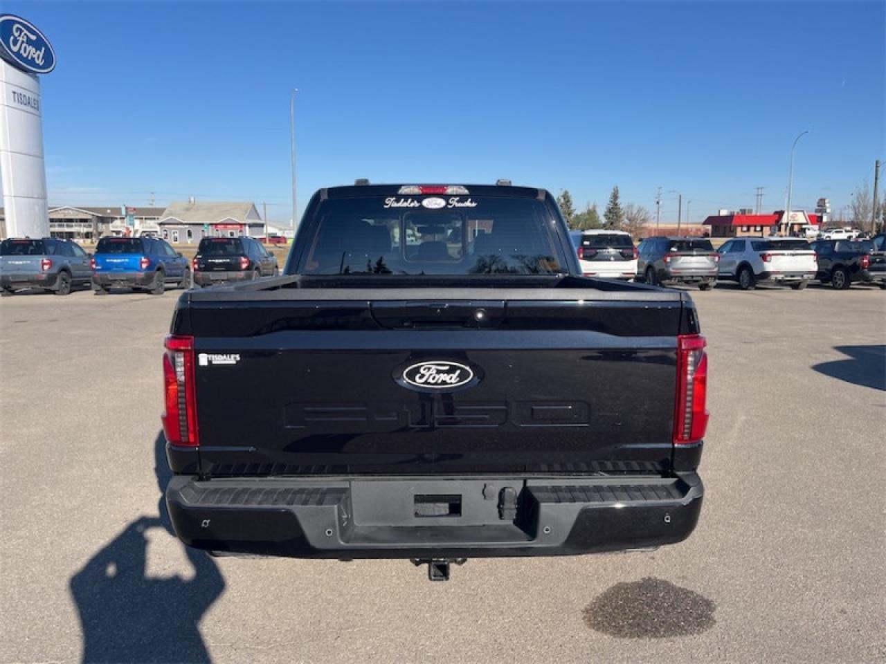 2025 Ford F-150 XLT Photo5