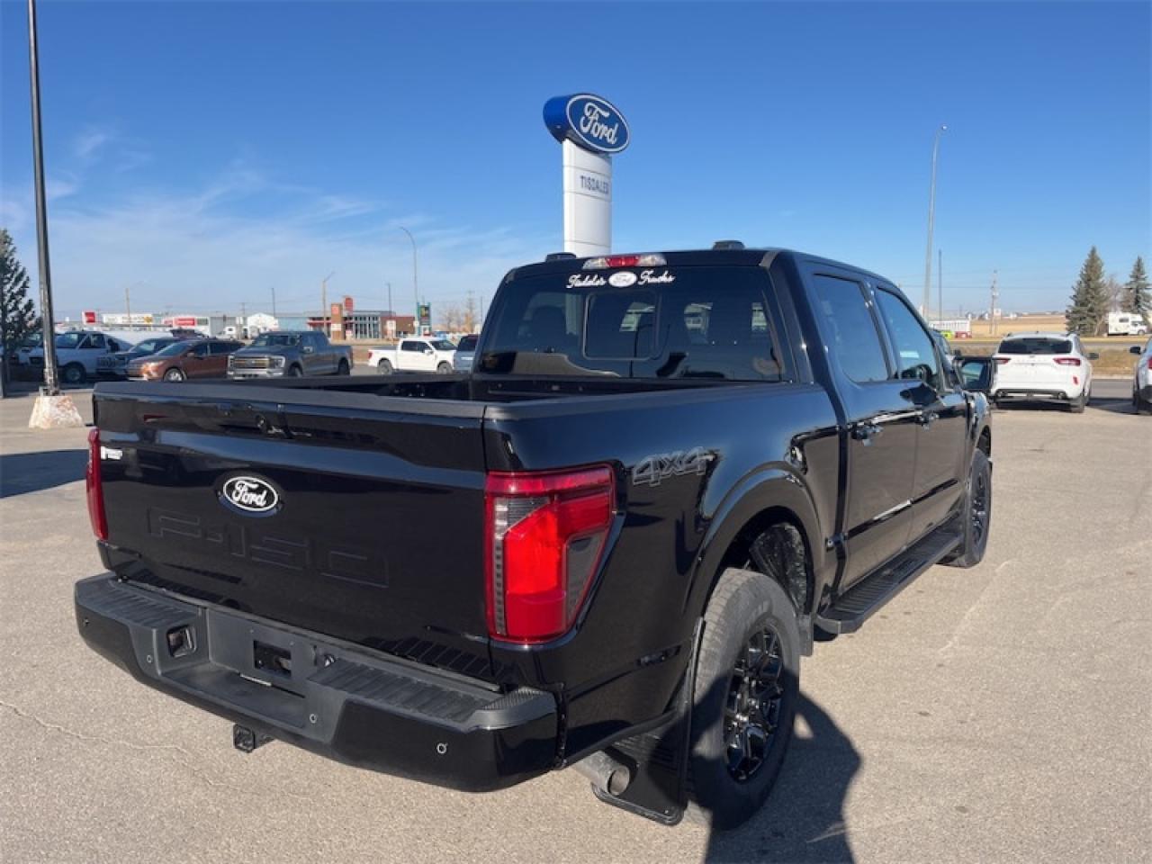 2025 Ford F-150 XLT Photo5