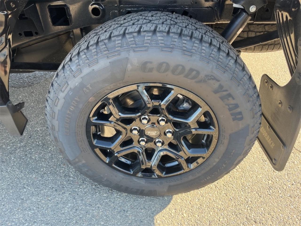 2025 Ford F-150 XLT Photo5