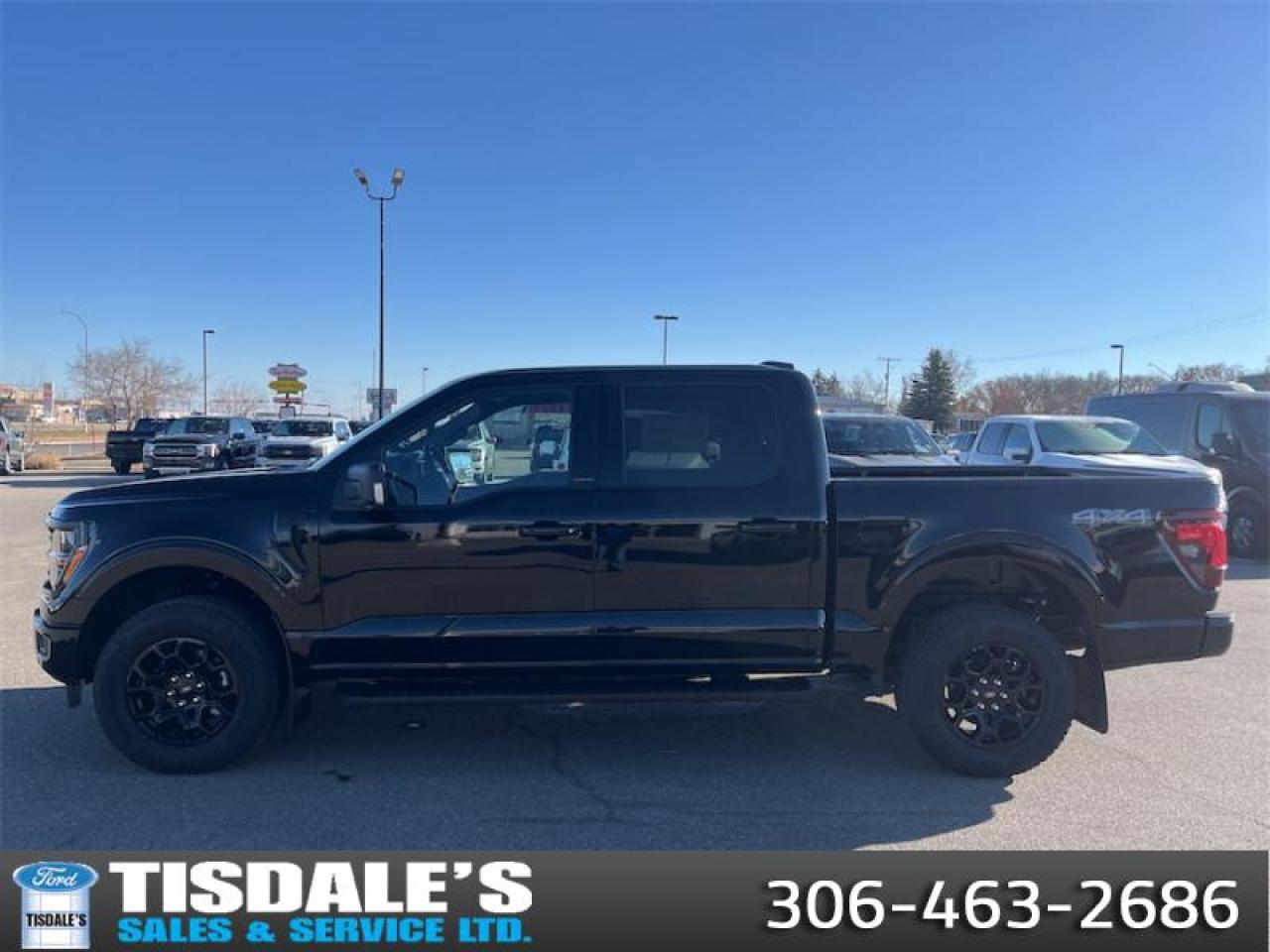 New 2025 Ford F-150 XLT for sale in Kindersley, SK