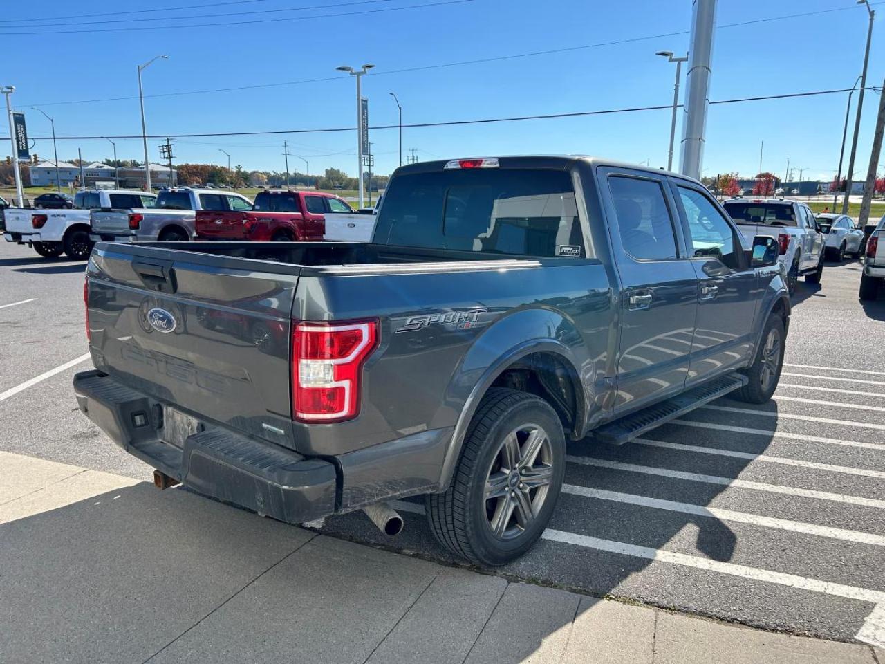 2020 Ford F-150 XL Photo