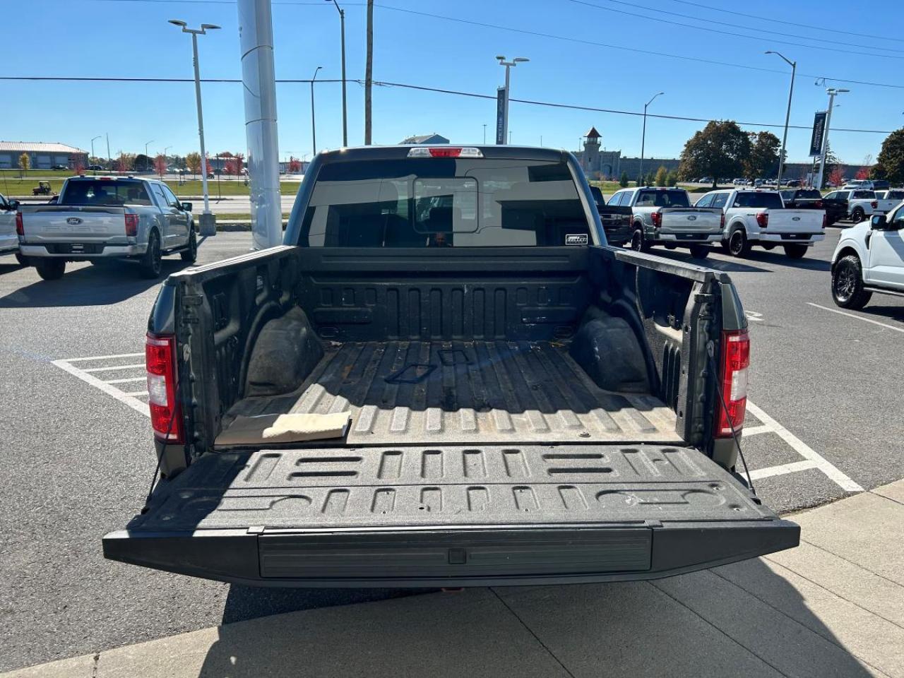 2020 Ford F-150 XL Photo