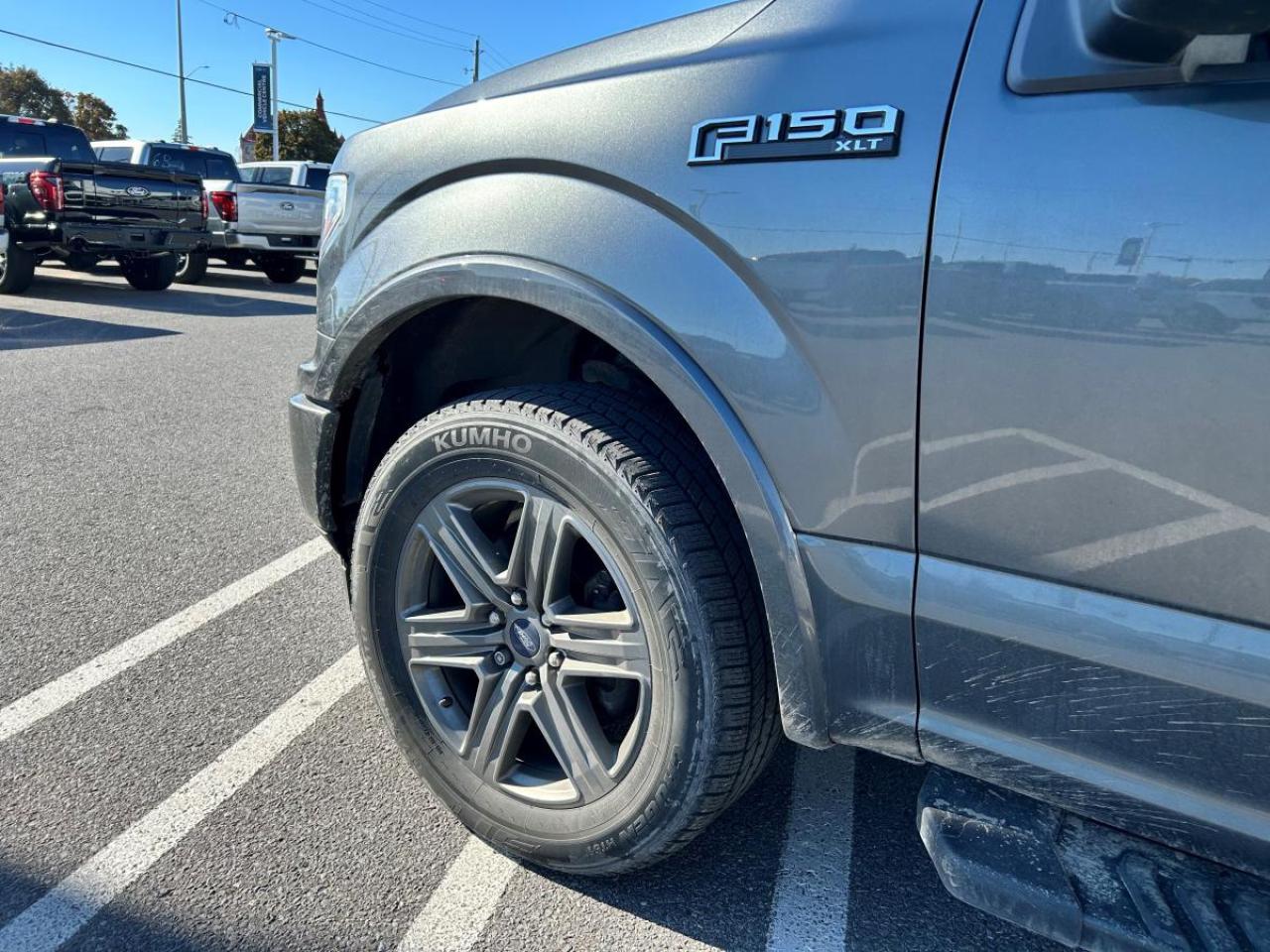 2020 Ford F-150 XL Photo