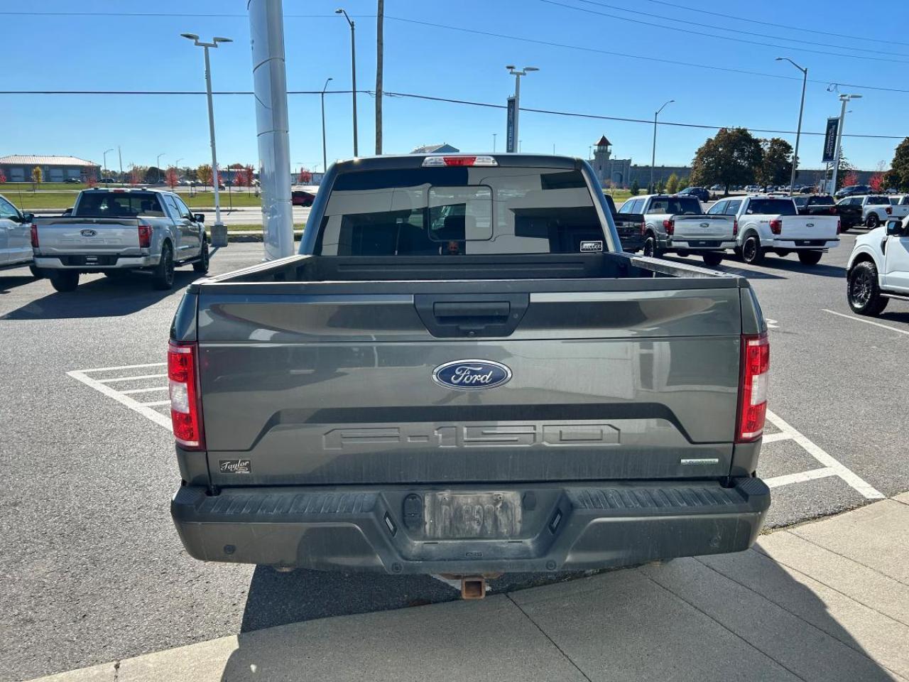 2020 Ford F-150 XL Photo