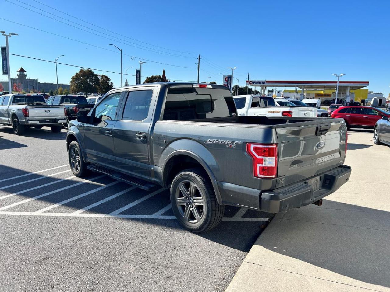 2020 Ford F-150 XL Photo