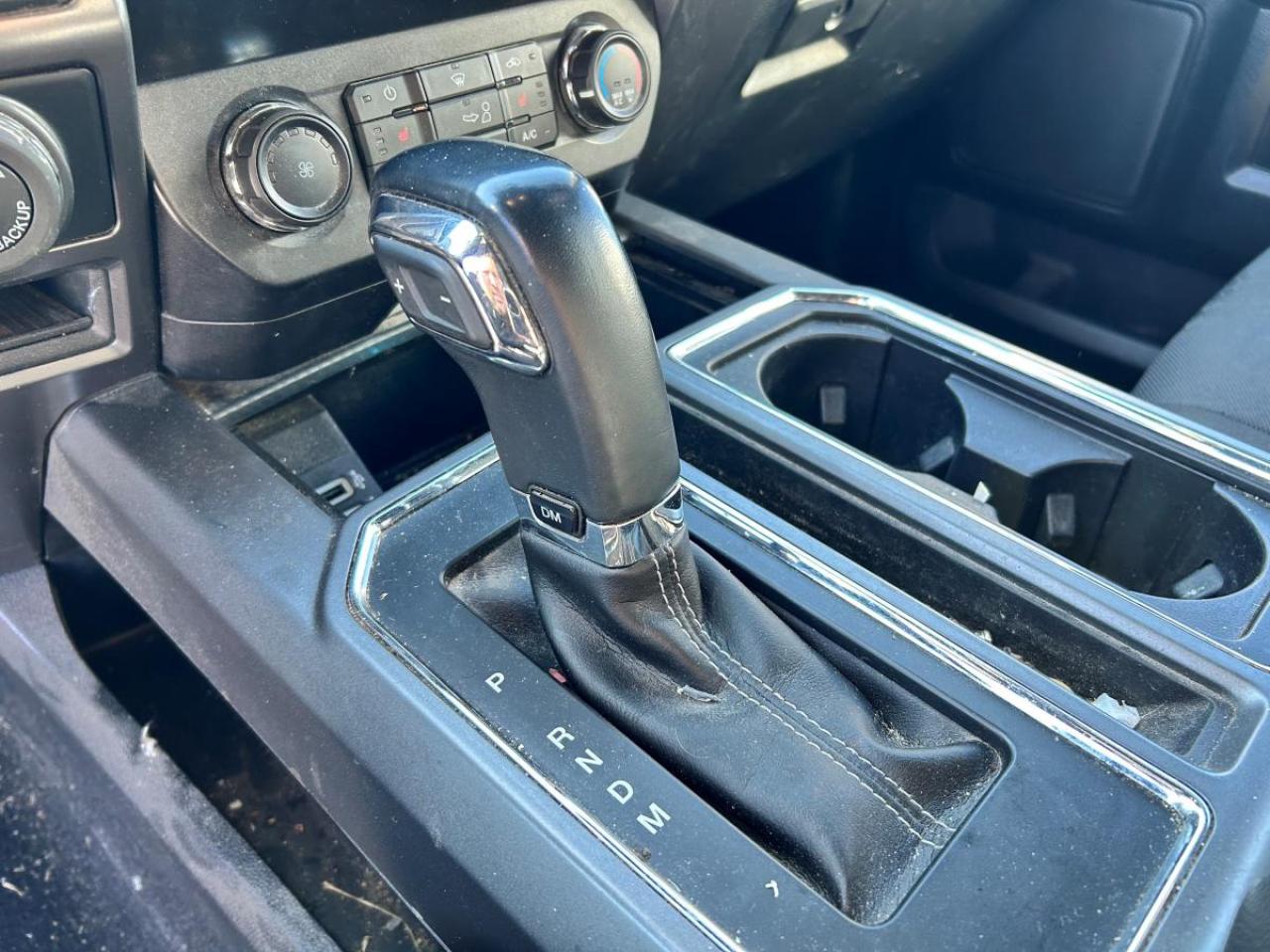 2020 Ford F-150 XL Photo