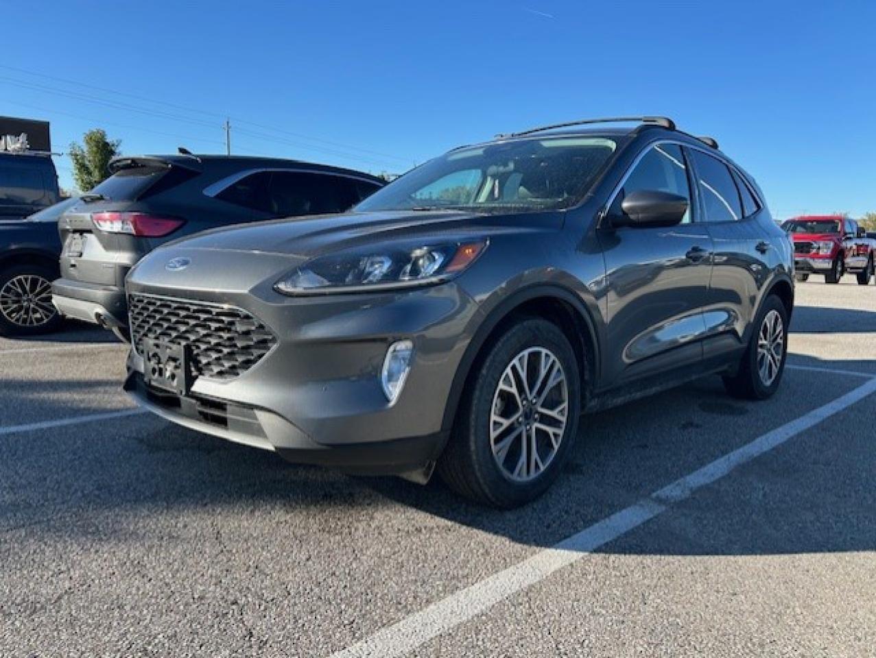 Used 2022 Ford Escape SEL AWD for sale in Watford, ON