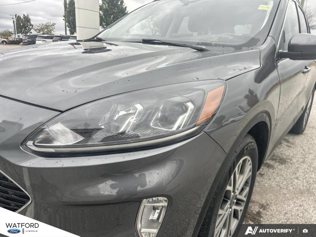 2022 Ford Escape SEL AWD Photo