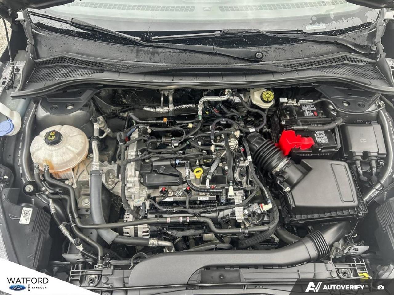 2022 Ford Escape SEL AWD Photo