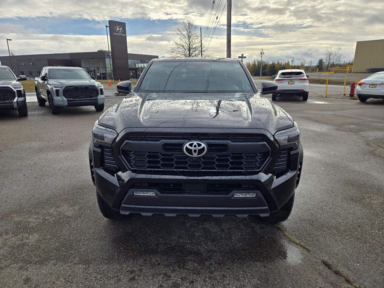 2025 Toyota Tacoma TRD Off Road Premium Photo