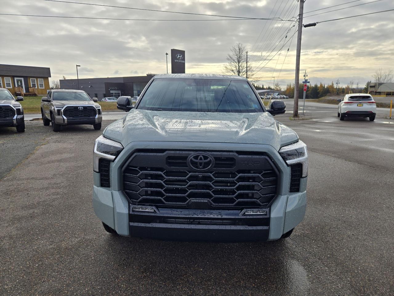 2026 Toyota Tundra Limited TRD Off Road Photo