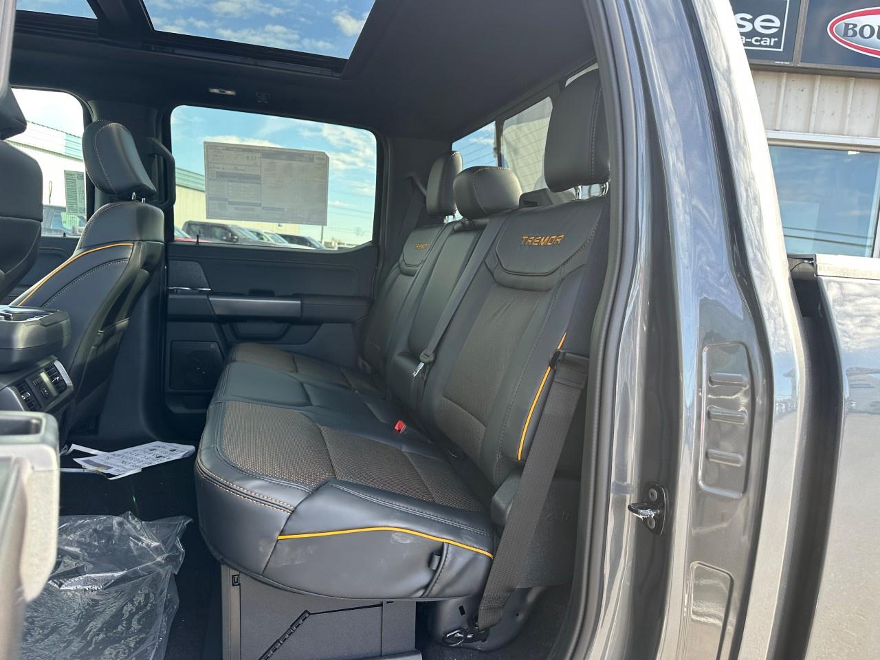 2025 Ford F-150 Tremor 4WD SuperCrew 5.5' Box Photo