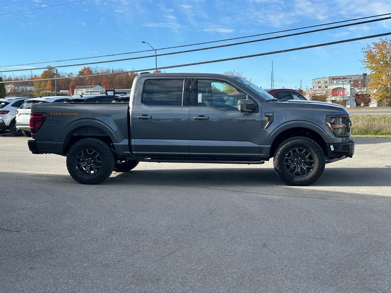 2025 Ford F-150 Tremor 4WD SuperCrew 5.5' Box Photo