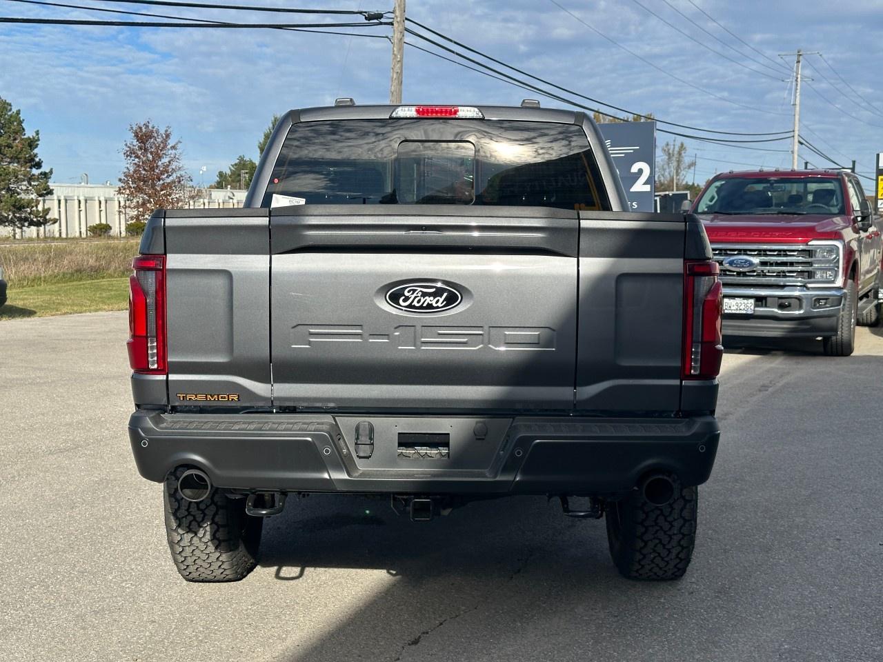 2025 Ford F-150 Tremor 4WD SuperCrew 5.5' Box Photo