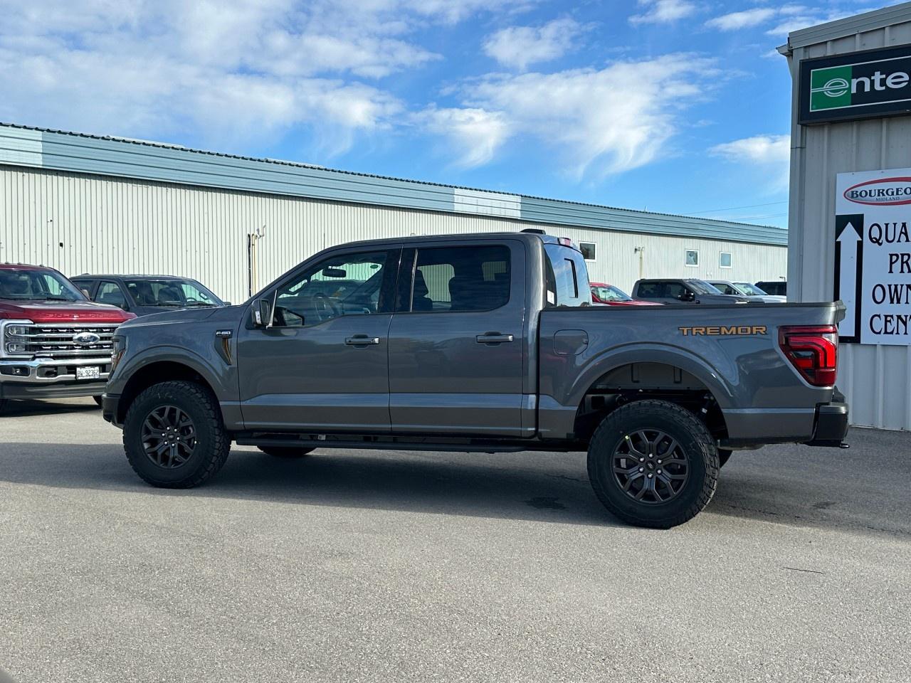 2025 Ford F-150 Tremor 4WD SuperCrew 5.5' Box Photo