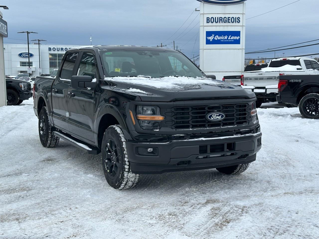 2025 Ford F-150 STX 4WD SuperCrew 5.5' Box Photo