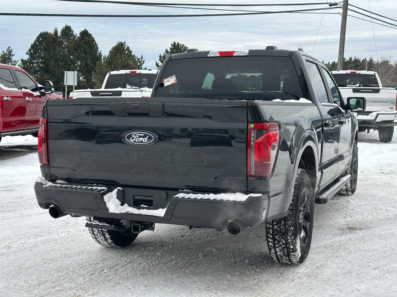 2025 Ford F-150 STX 4WD SuperCrew 5.5' Box Photo