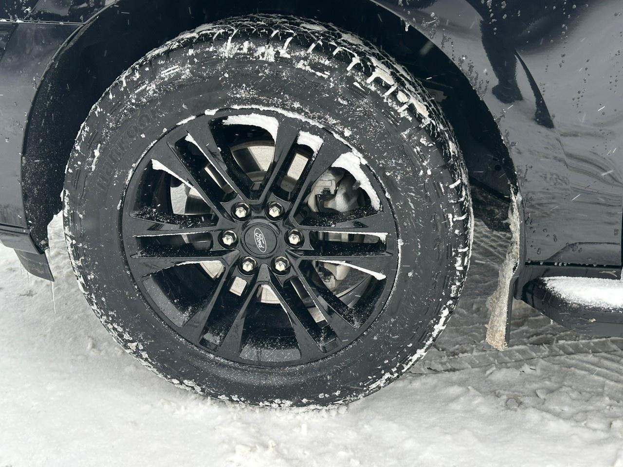 2024 Ford Expedition XLT 4X4 Photo